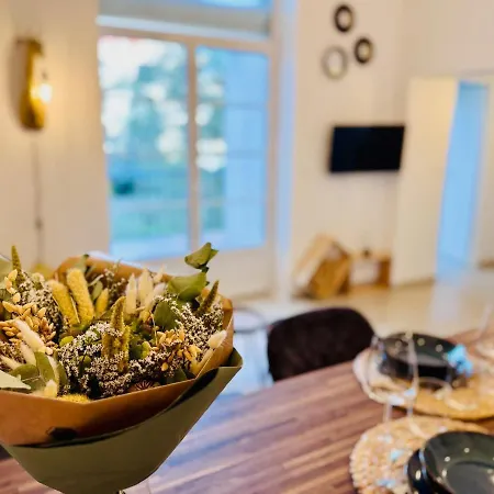 Apartment Chaleureux T2 Proche Gare